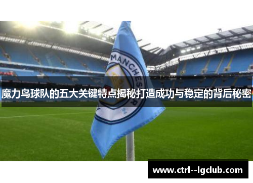 魔力鸟球队的五大关键特点揭秘打造成功与稳定的背后秘密 魔力鸟球队的五大关键特点揭秘打造成功与稳定的背后秘密